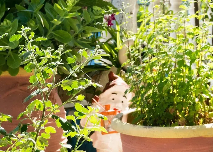 Niki Paralia Dionisiou