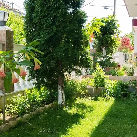 Niki * Paralia Dionysiou