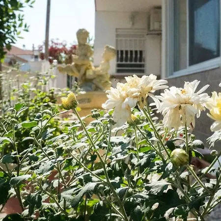 Niki Apartamento Paralia Dionysiou