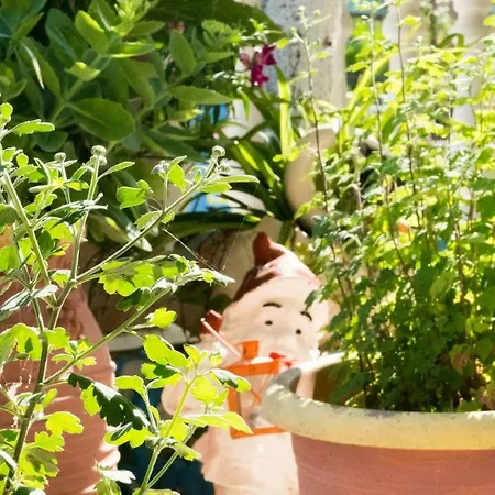 Niki Paralia Dionysiou