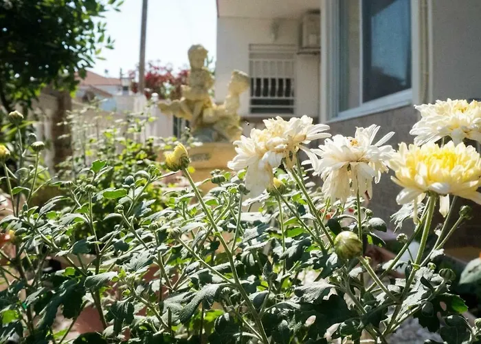Niki Appartement Paralia Dionysiou